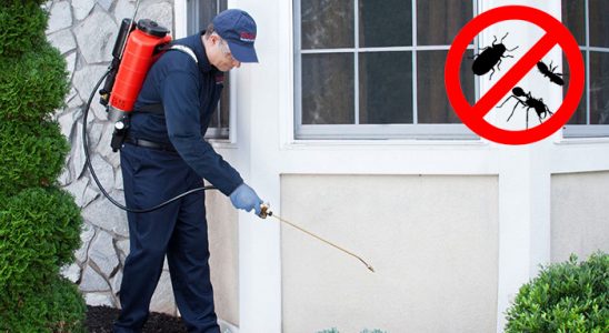 Dargeçit Akrep İlaçlama böcek ilaçlama ve haşere kontrolü — ilaclama-tr.com